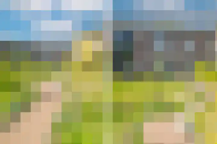 Hommelseweg 169 9 Arnhem thumbnail 55