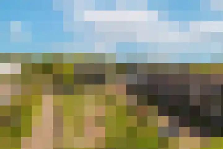 Hommelseweg 169 9 Arnhem thumbnail 57