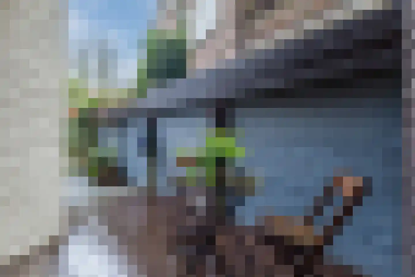 Hommelseweg 232 Arnhem thumbnail 24