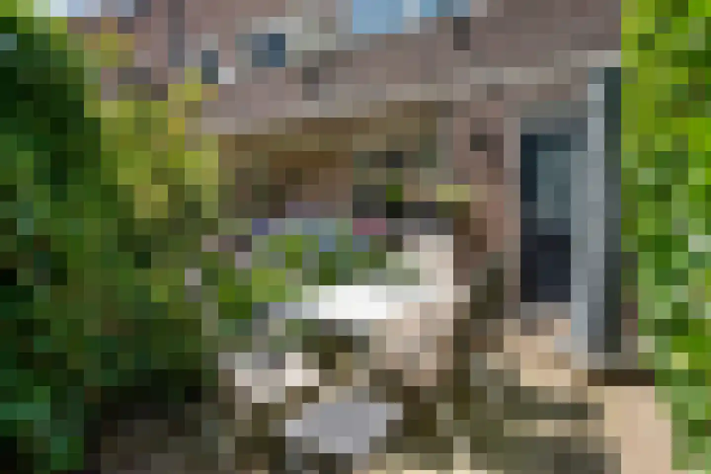 Hommelseweg 238 Arnhem thumbnail 38