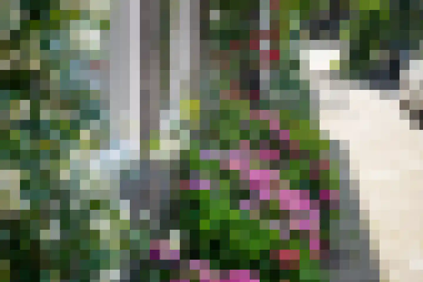 Hommelseweg 238 Arnhem thumbnail 4