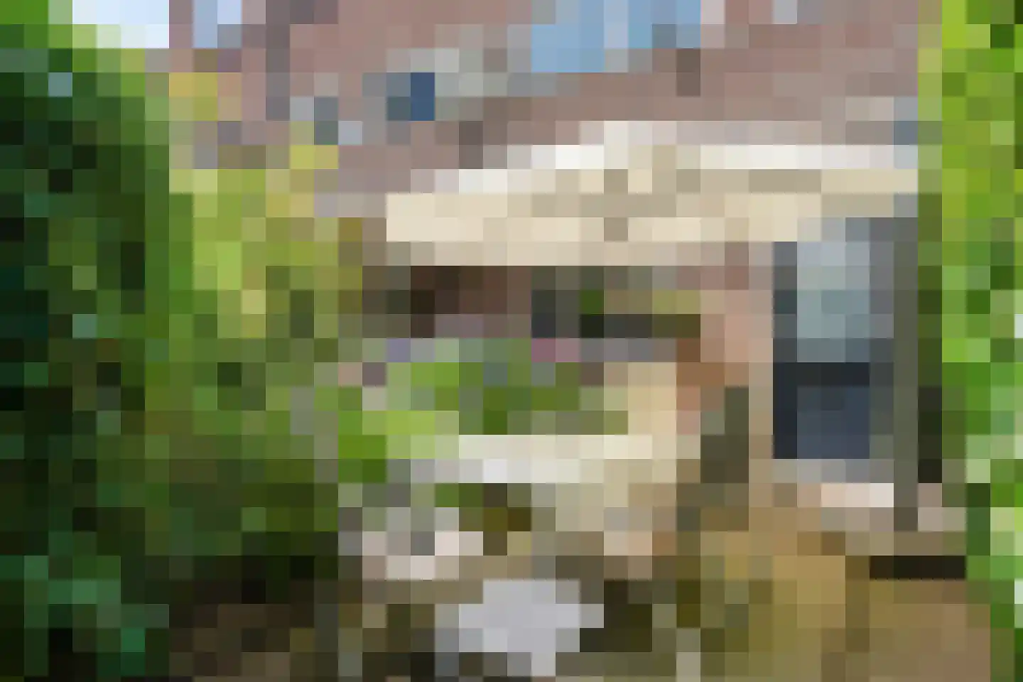 Hommelseweg 238 Arnhem thumbnail 41