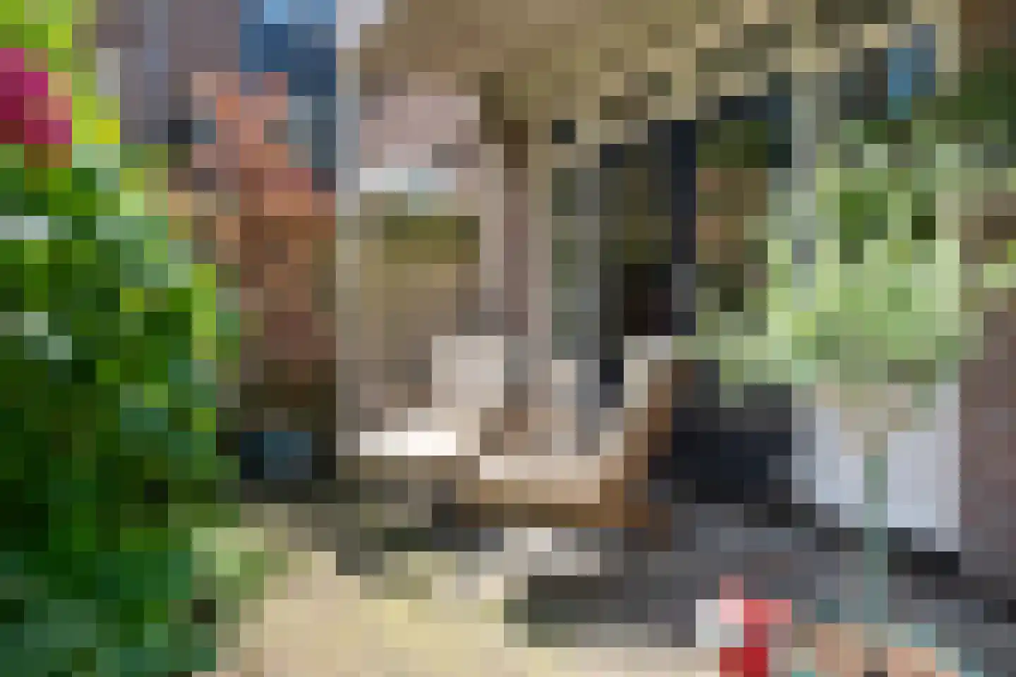 Hommelseweg 238 Arnhem thumbnail 42