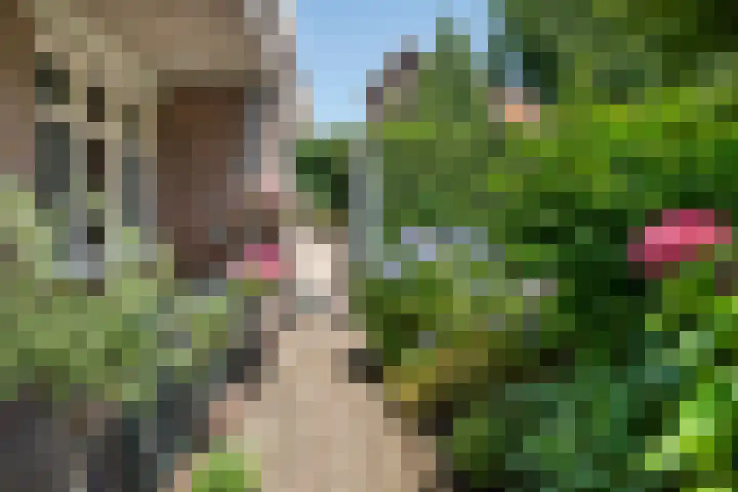 Hommelseweg 238 Arnhem thumbnail 43