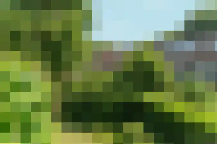 Hommelseweg 242 Arnhem thumbnail 41