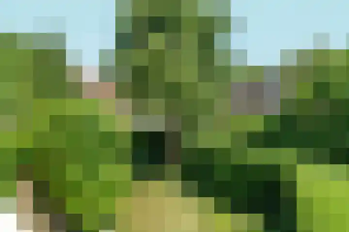Hommelseweg 242 Arnhem thumbnail 42