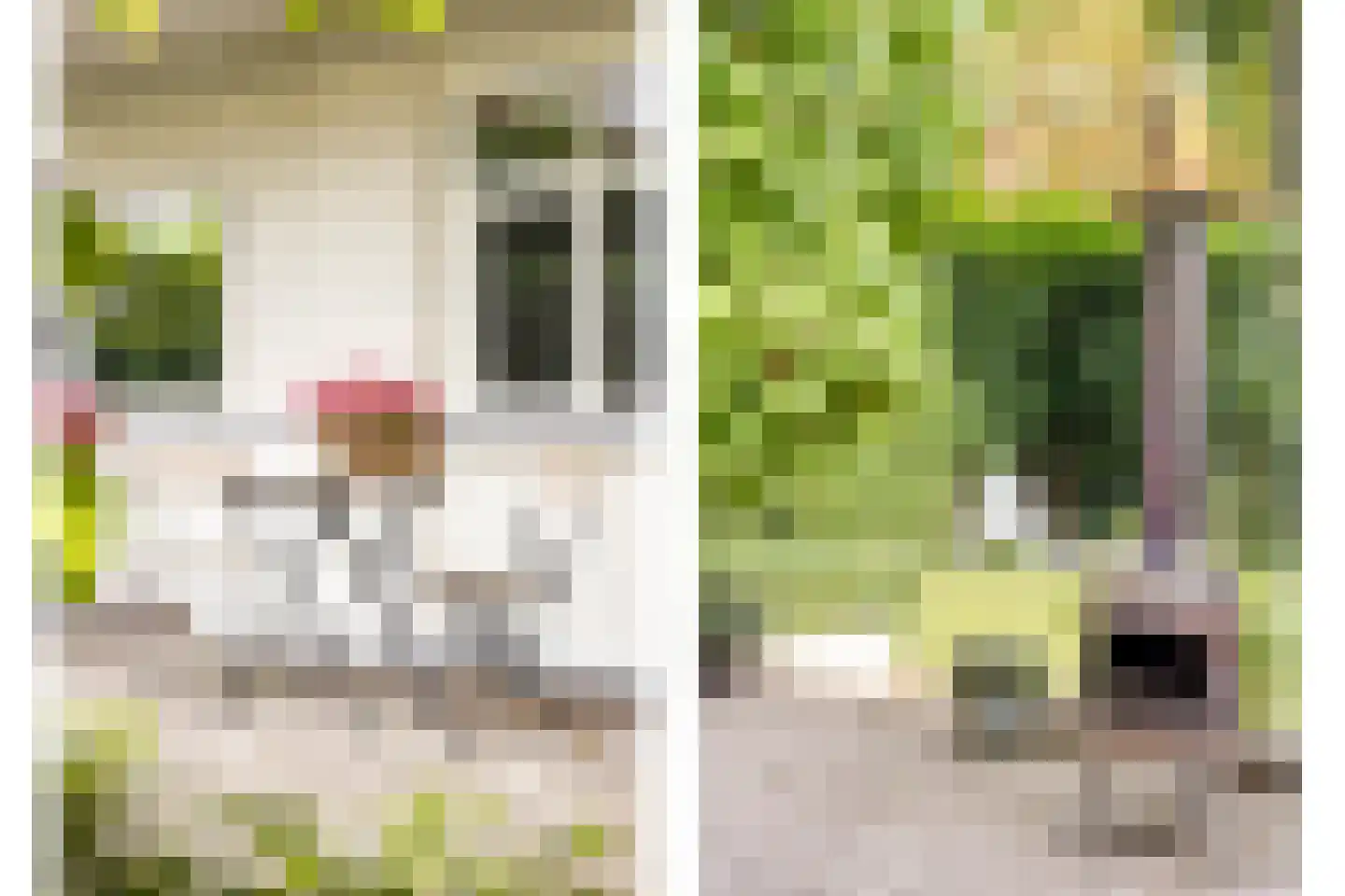 Hommelseweg 244 Arnhem thumbnail 12