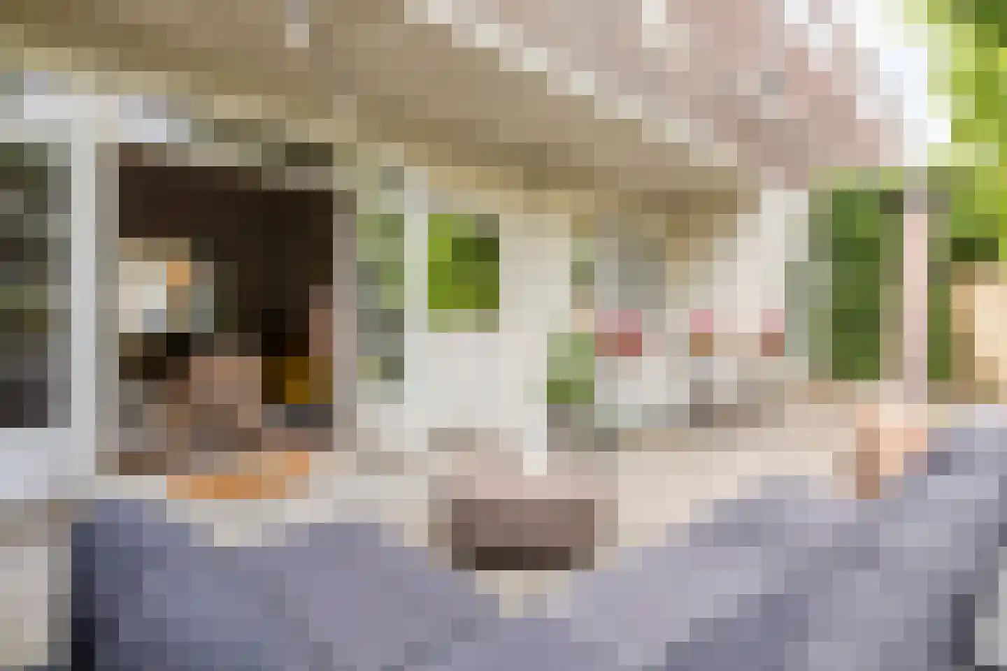 Hommelseweg 244 Arnhem thumbnail 24