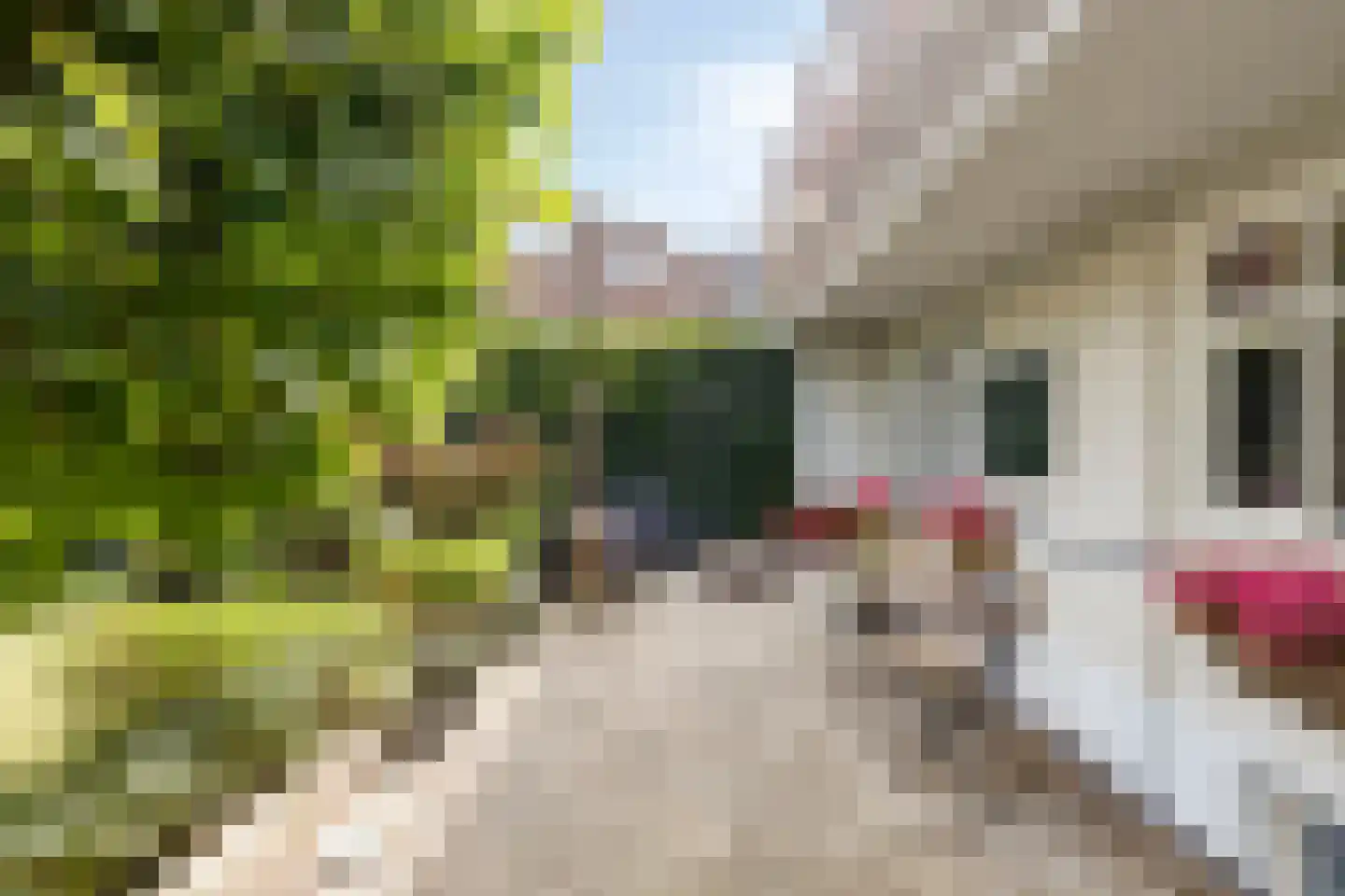Hommelseweg 244 Arnhem thumbnail 25