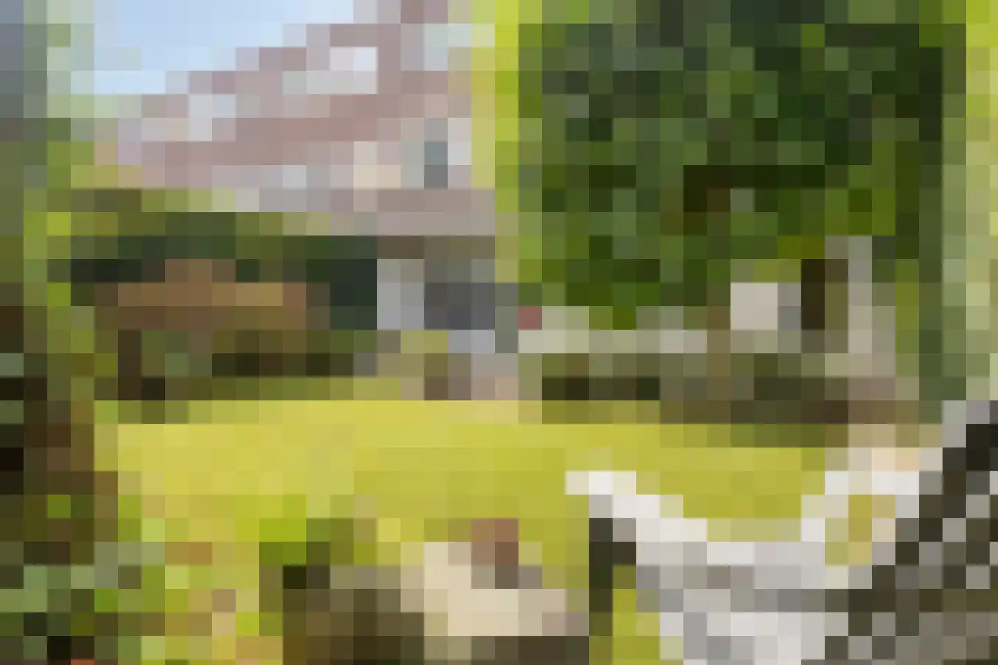 Hommelseweg 244 Arnhem thumbnail 26