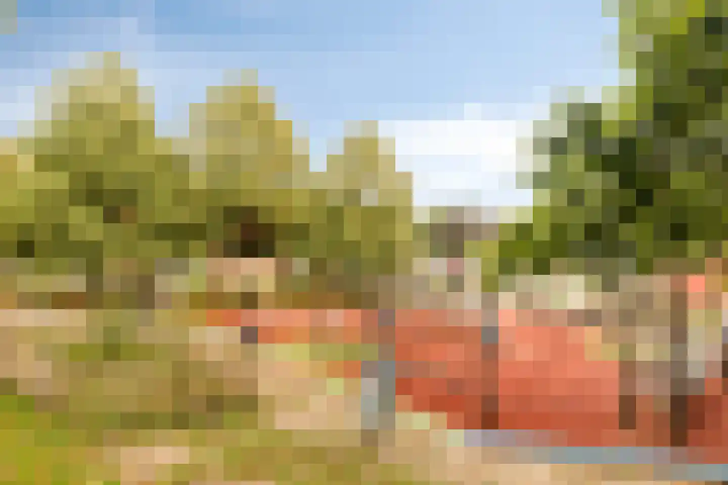 Hommelseweg 244 Arnhem thumbnail 28