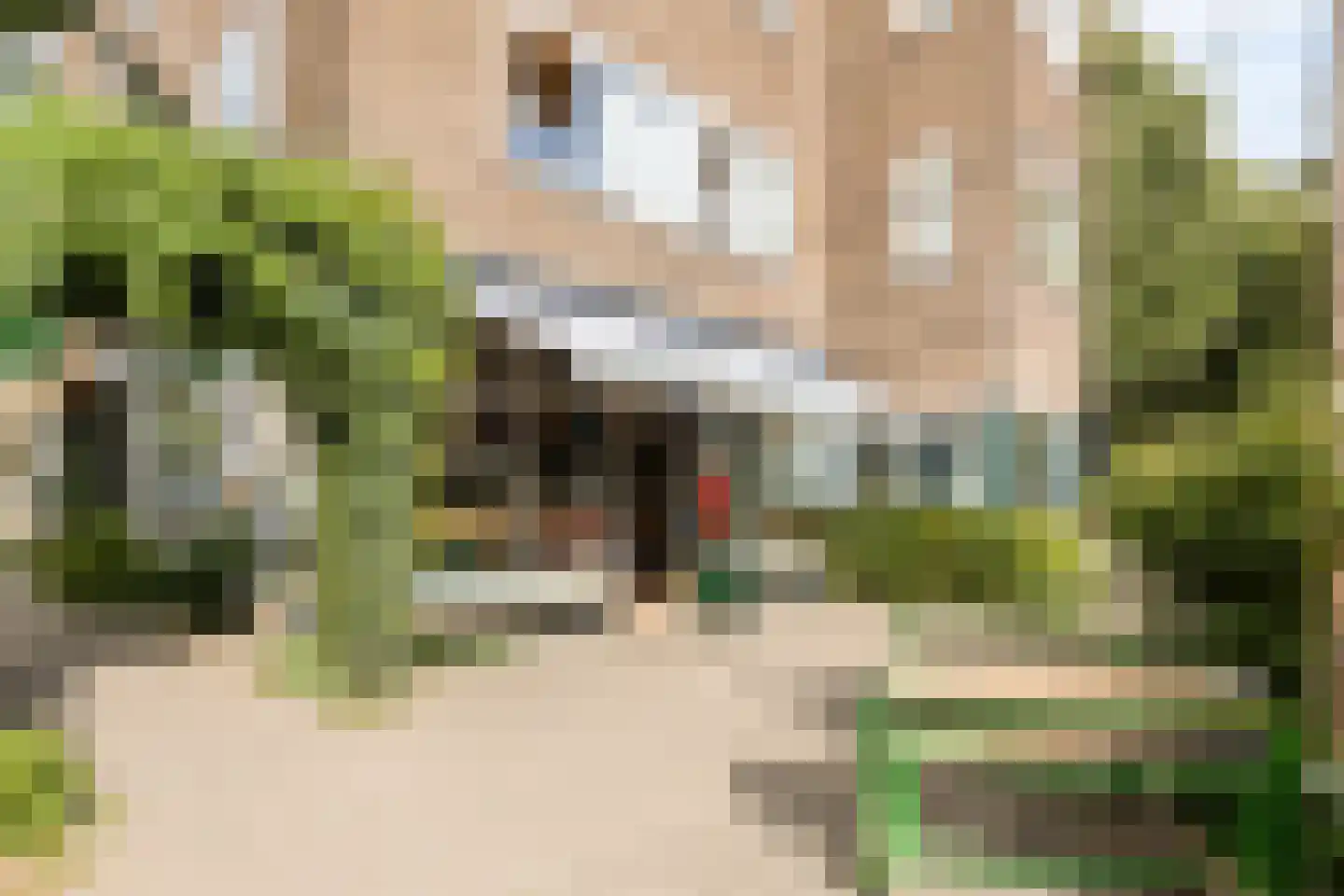 Hommelseweg 244 Arnhem thumbnail 29