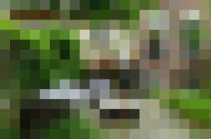 Hommelseweg 257 Arnhem thumbnail 31