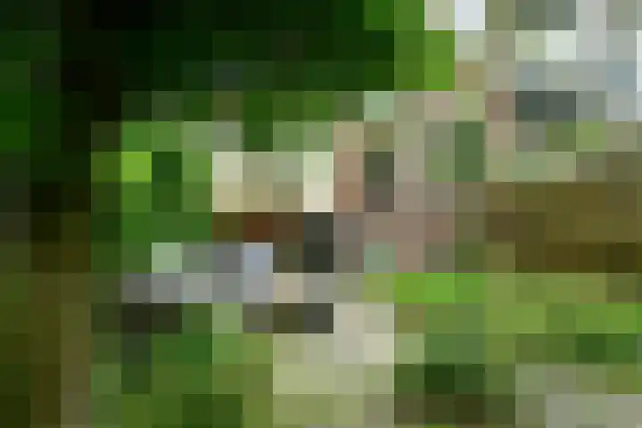 Hommelseweg 257 Arnhem thumbnail 32