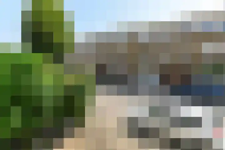 Hommelseweg 257 Arnhem thumbnail 33