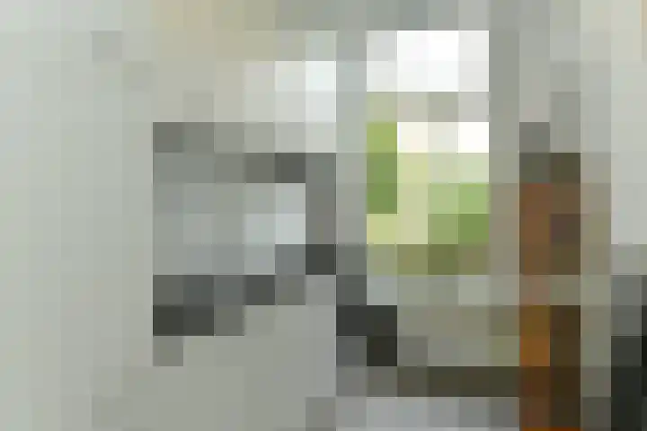 Hommelseweg 257 Arnhem thumbnail 4
