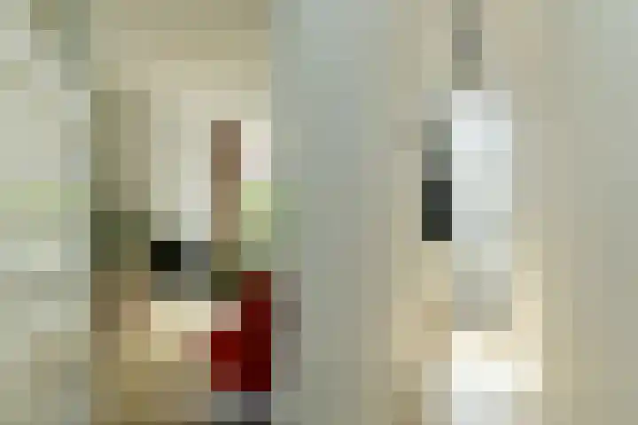 Hommelseweg 257 Arnhem thumbnail 6
