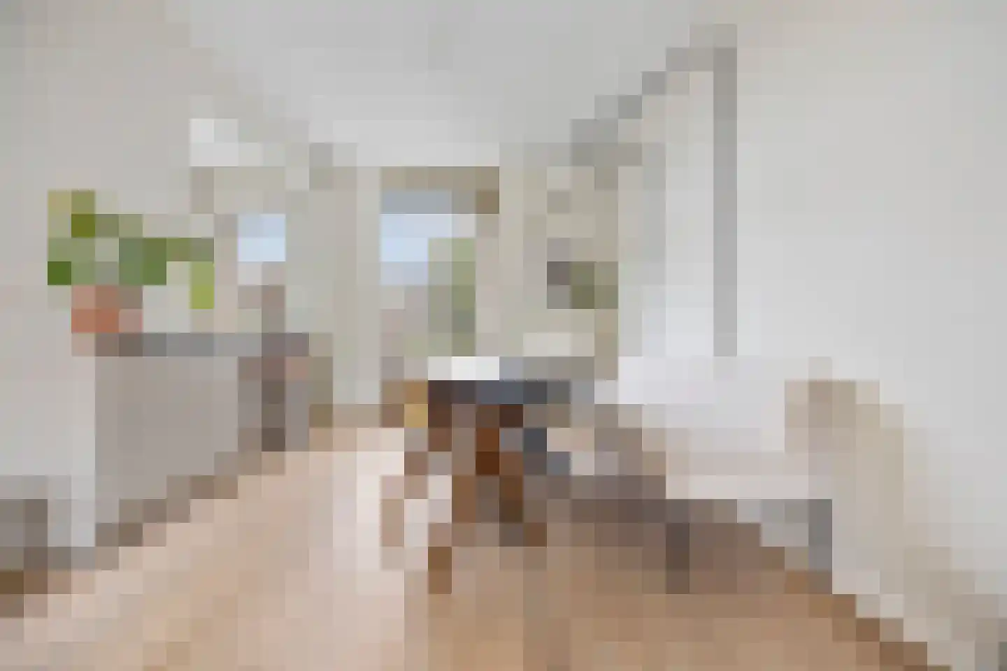 Hommelseweg 267 Arnhem thumbnail 16