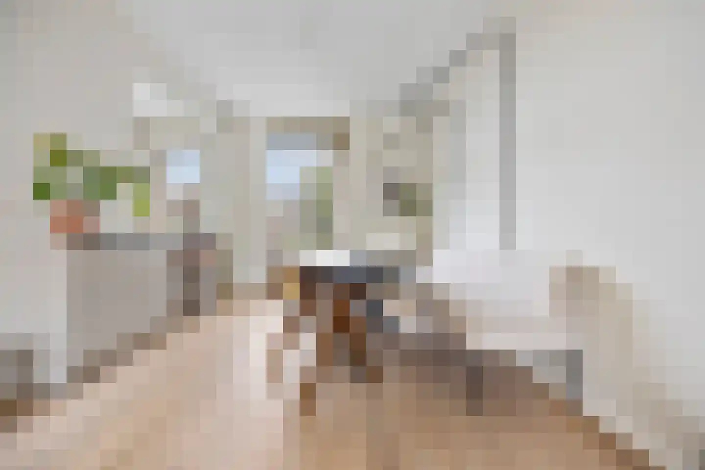Hommelseweg 267 Arnhem thumbnail 17