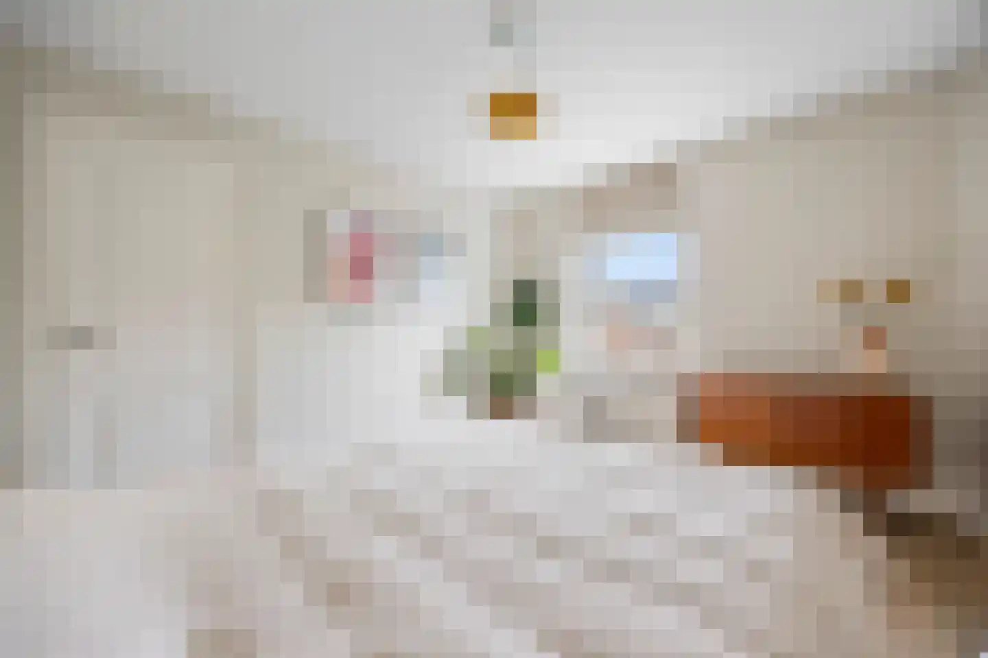 Hommelseweg 267 Arnhem thumbnail 25