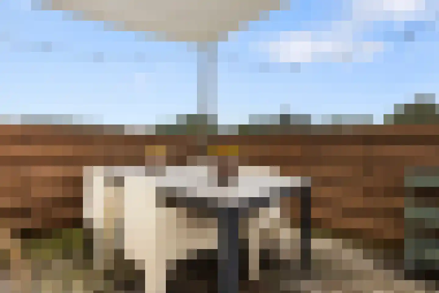 Hommelseweg 267 Arnhem thumbnail 31