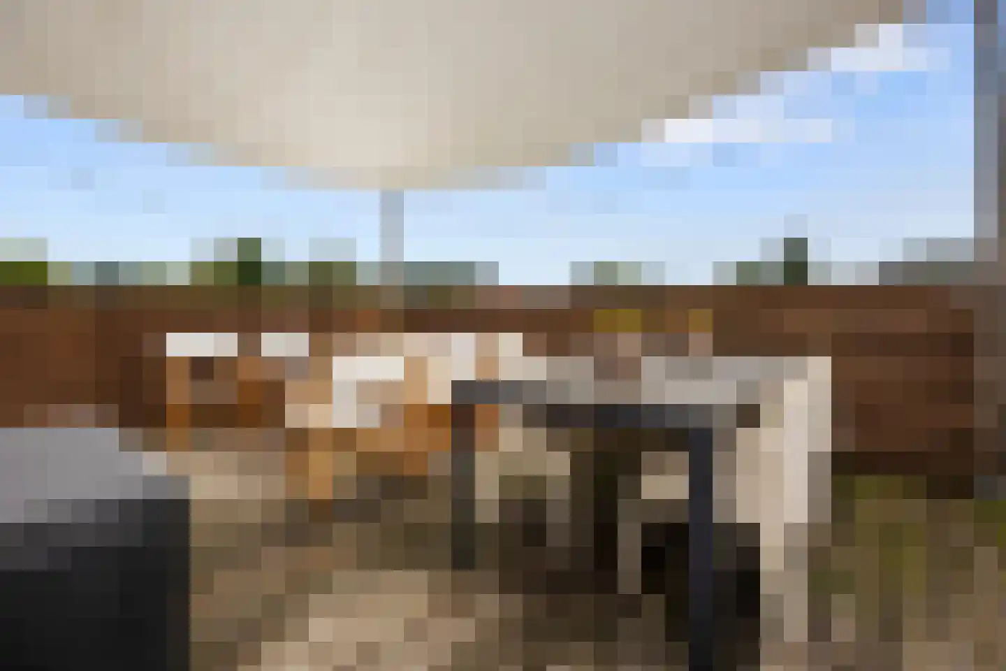 Hommelseweg 267 Arnhem thumbnail 32