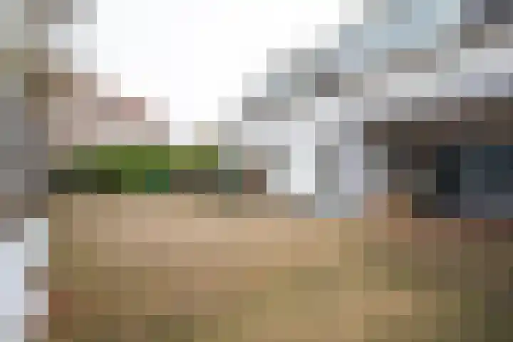 Hommelseweg 286 5 Arnhem thumbnail 13