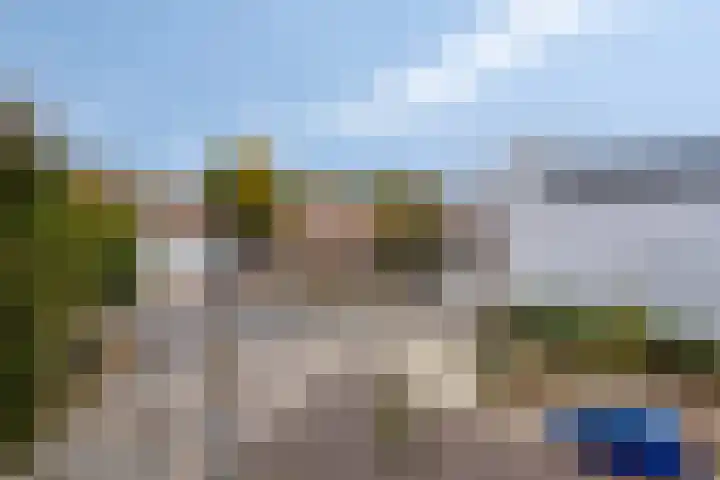 Hommelseweg 290 2 Arnhem thumbnail 15