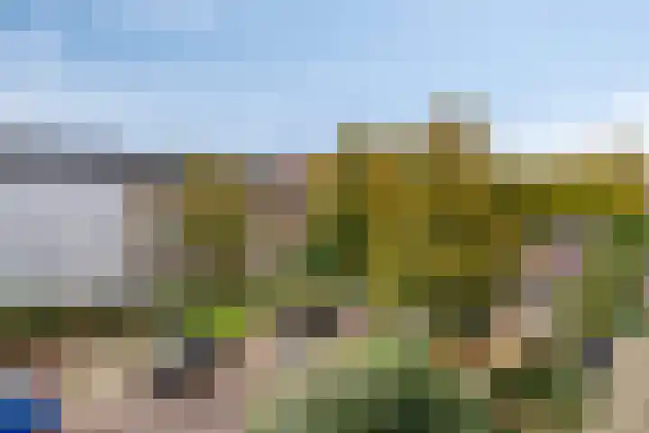 Hommelseweg 290 2 Arnhem thumbnail 16