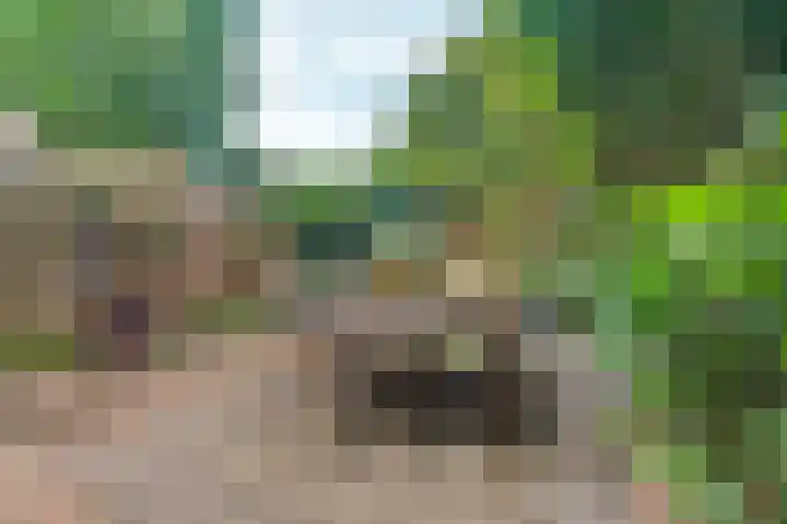 Hommelseweg 316 Arnhem thumbnail 15