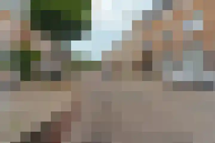 Hommelseweg 316 Arnhem thumbnail 41