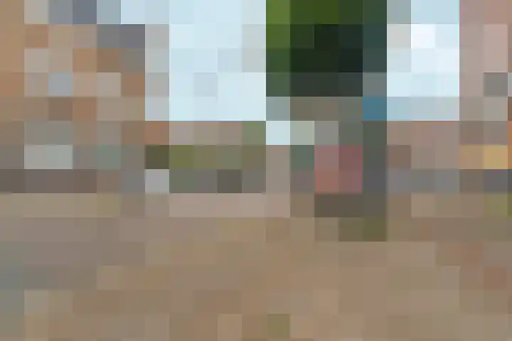 Hommelseweg 316 Arnhem thumbnail 42