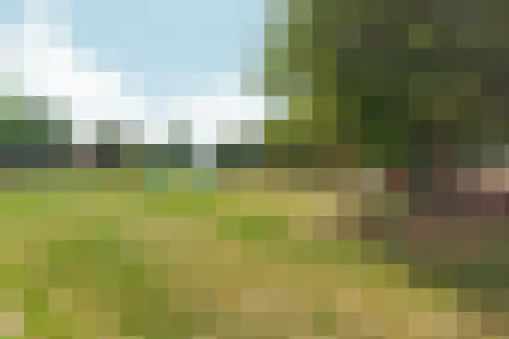 Hommelseweg 316 Arnhem thumbnail 45