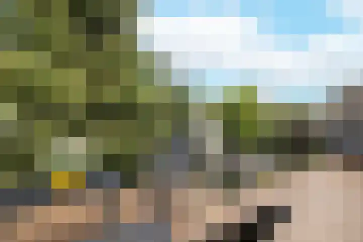 Hommelseweg 325 Arnhem thumbnail 4