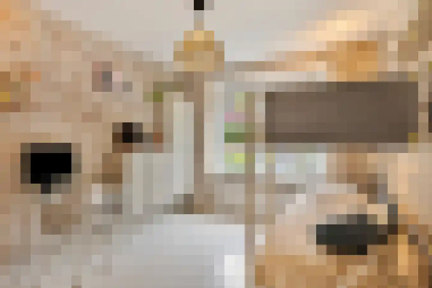 Hommelseweg 334 Arnhem thumbnail 21