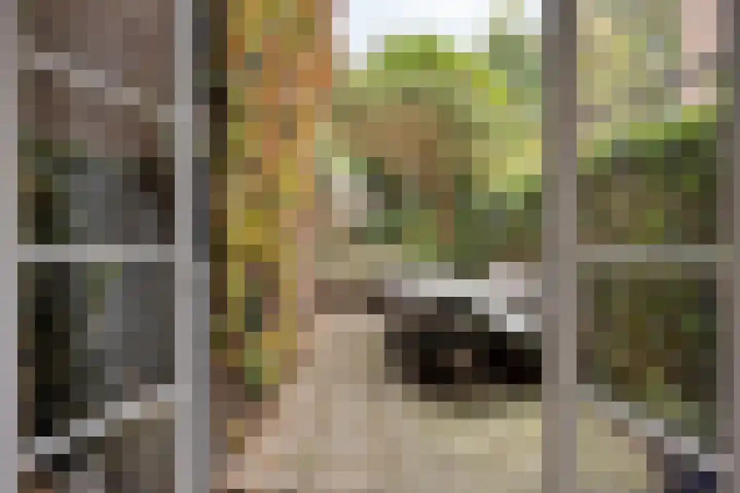 Hommelseweg 334 Arnhem thumbnail 24