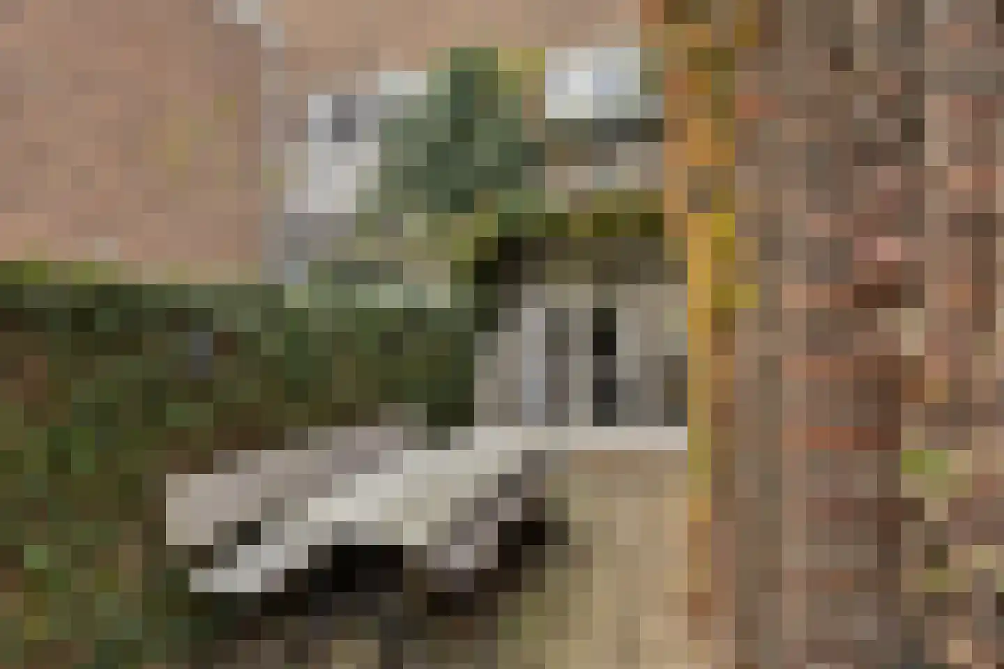 Hommelseweg 334 Arnhem thumbnail 26