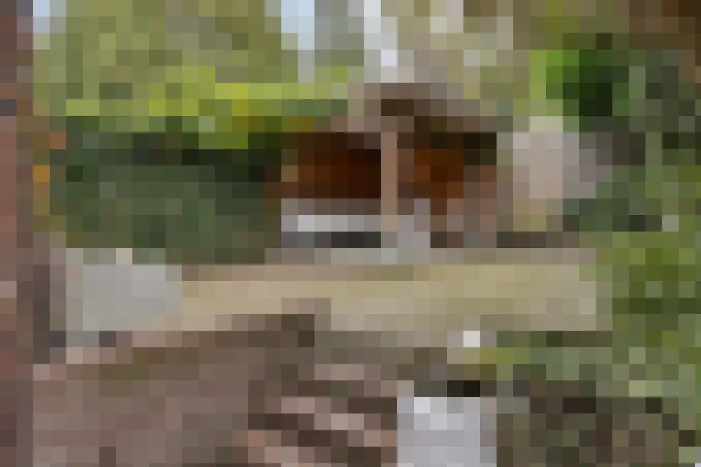 Hommelseweg 334 Arnhem thumbnail 27