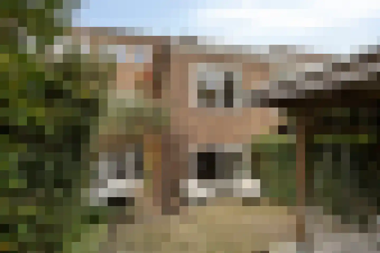 Hommelseweg 334 Arnhem thumbnail 28