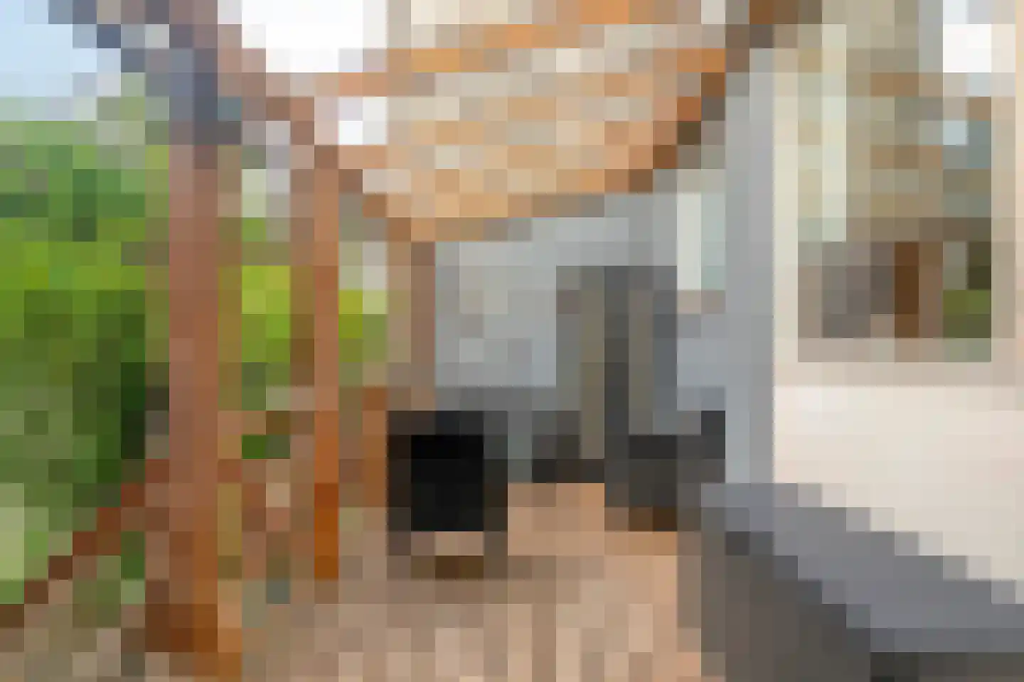 Hommelseweg 337 Arnhem thumbnail 11