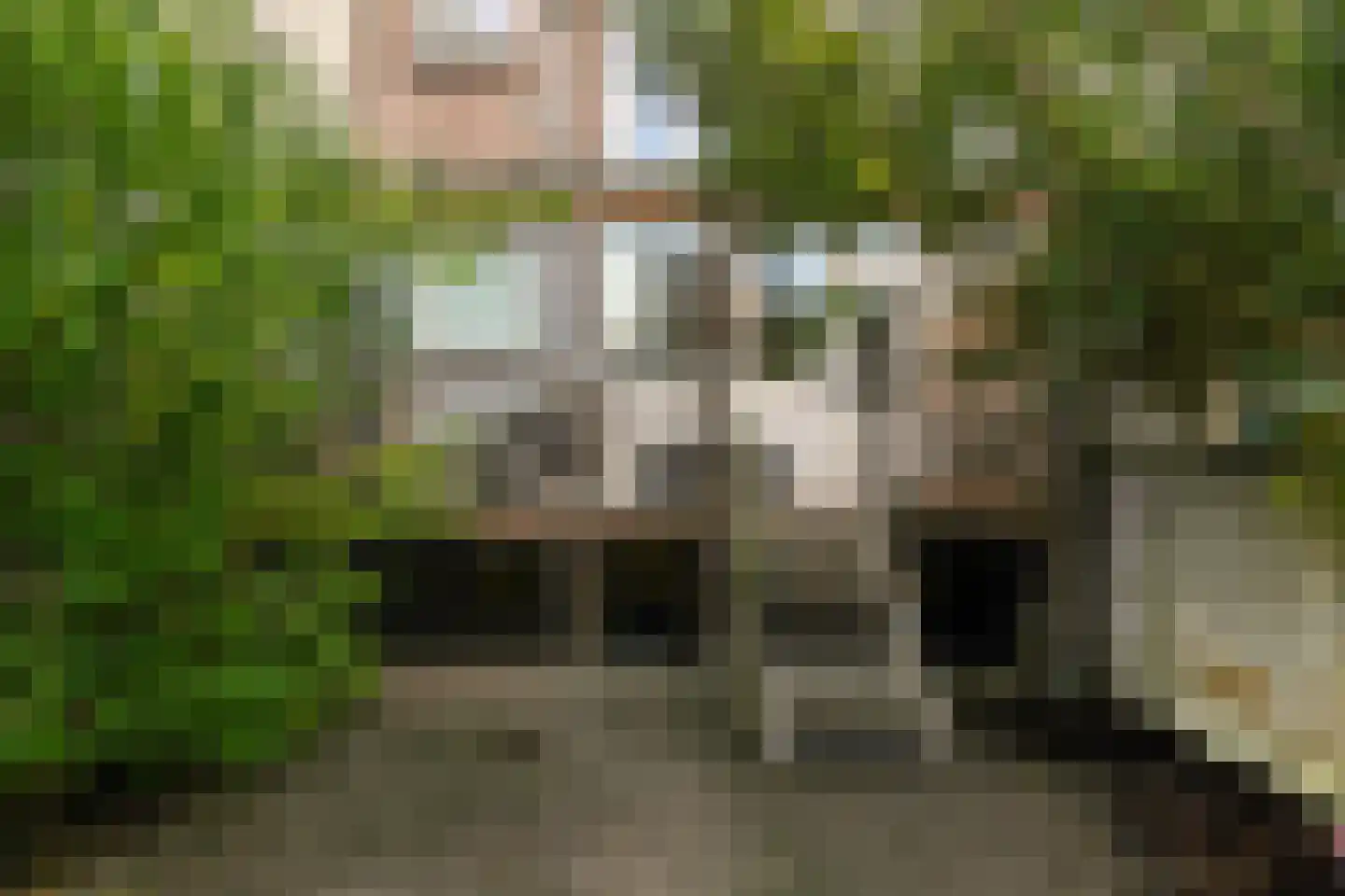 Hommelseweg 337 Arnhem thumbnail 12