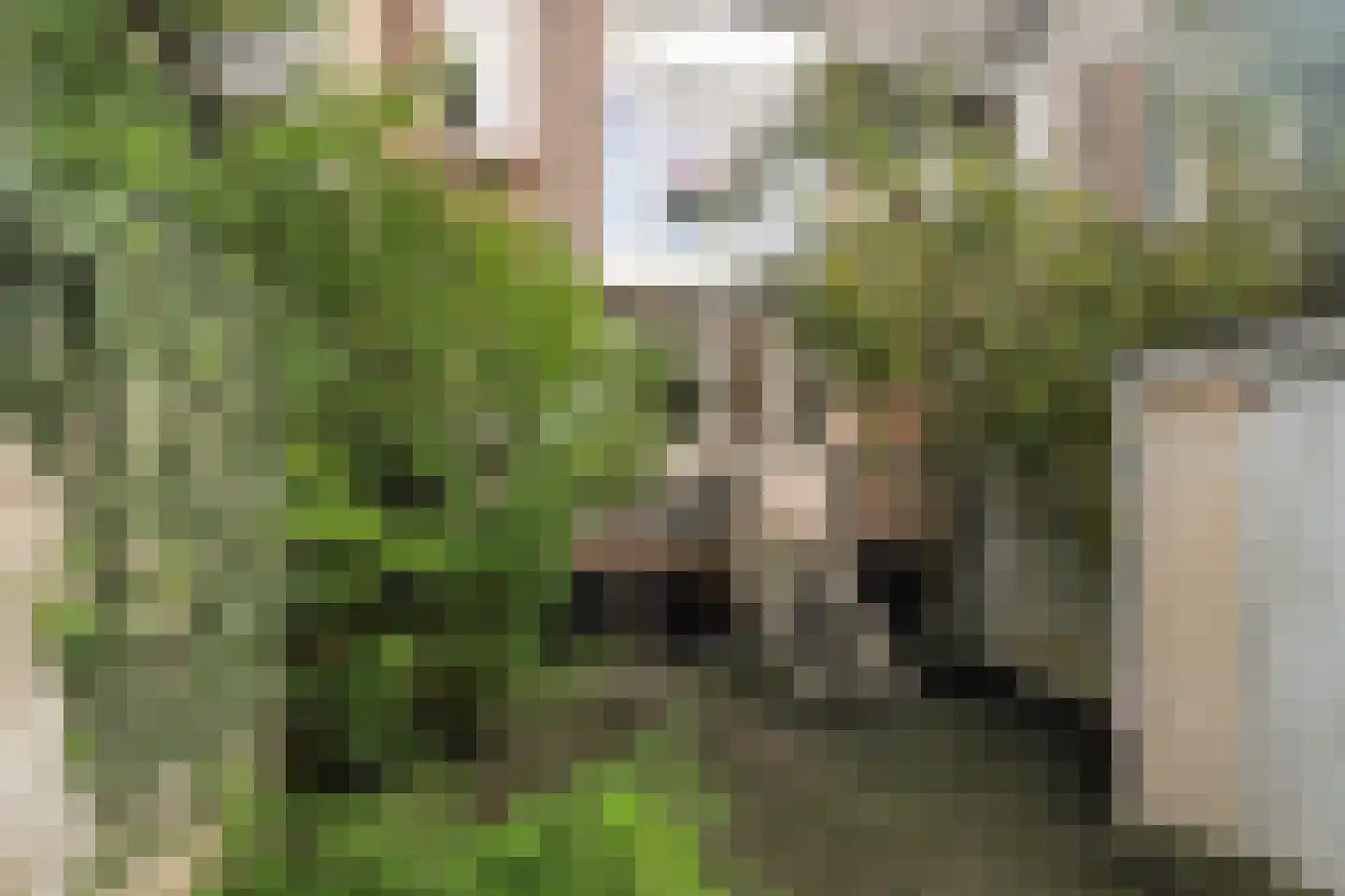 Hommelseweg 337 Arnhem thumbnail 13