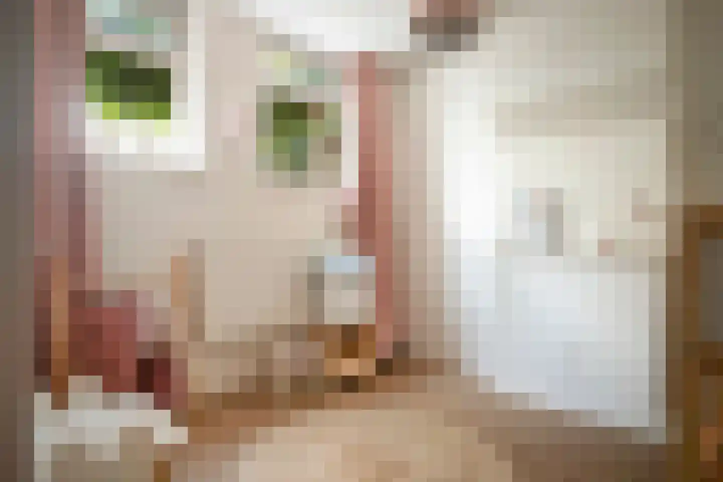 Hommelseweg 337 Arnhem thumbnail 23