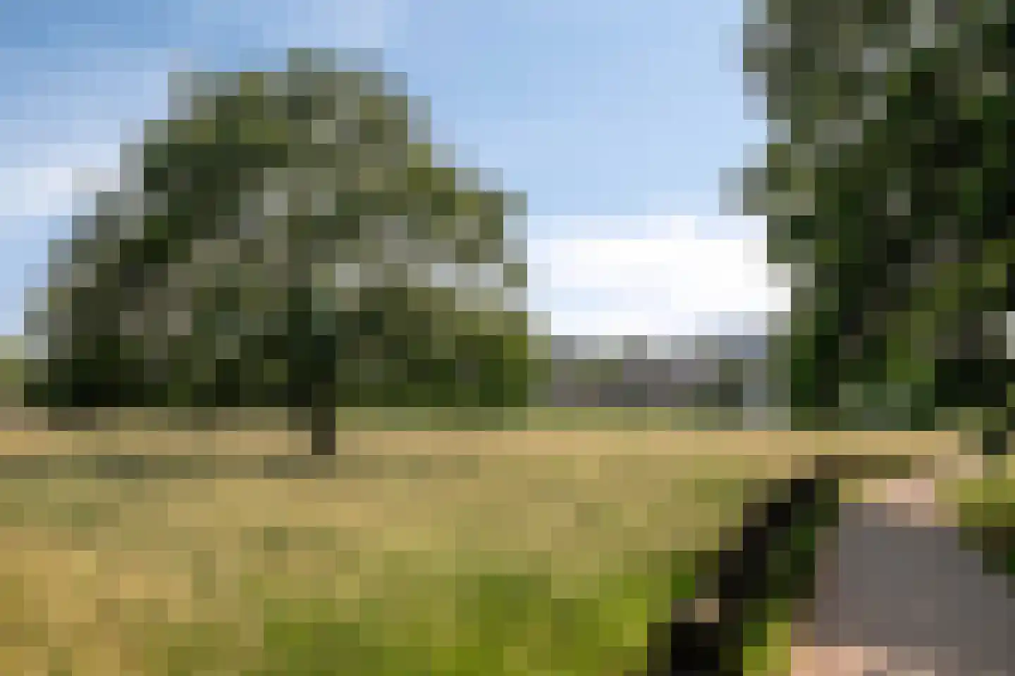 Hommelseweg 337 Arnhem thumbnail 34