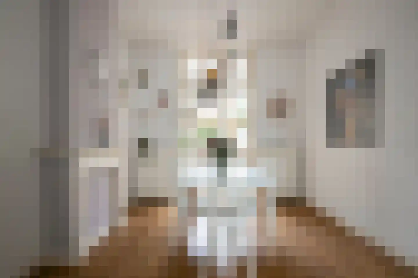 Hommelseweg 337 Arnhem thumbnail 7