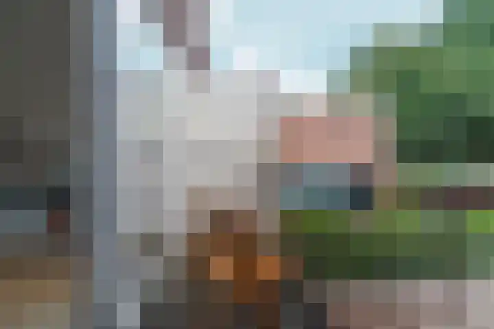 Hommelseweg 338 Arnhem thumbnail 16