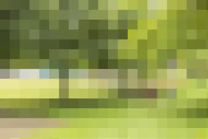 Hommelseweg 338 Arnhem thumbnail 33