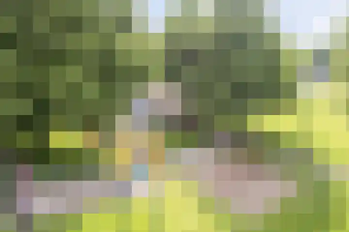 Hommelseweg 338 Arnhem thumbnail 36