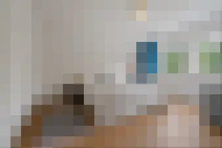 Hommelseweg 338 Arnhem thumbnail 4