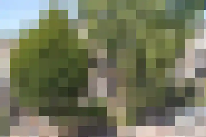 Hommelseweg 353 Arnhem thumbnail 37